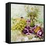 Figs, Grapes and Pears with Marguerites-Joan Thewsey-Framed Stretched Canvas