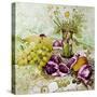 Figs, Grapes and Pears with Marguerites-Joan Thewsey-Stretched Canvas