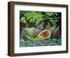 Figs on Black, 2014-Jennifer Abbott-Framed Giclee Print