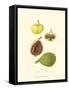 Figs-null-Framed Stretched Canvas