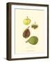 Figs-null-Framed Art Print