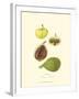 Figs-null-Framed Art Print