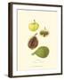 Figs-null-Framed Art Print