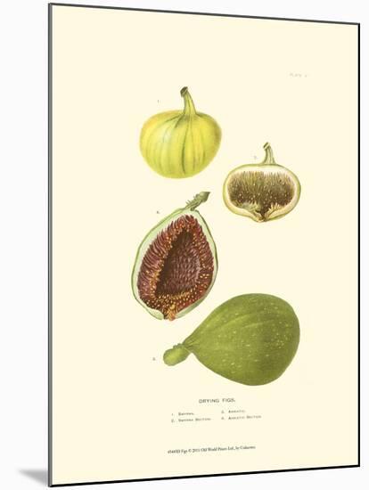 Figs-null-Mounted Art Print