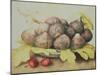 Figs-Giovanna Garzoni-Mounted Giclee Print