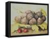 Figs-Giovanna Garzoni-Framed Stretched Canvas