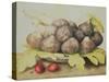 Figs-Giovanna Garzoni-Stretched Canvas