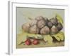 Figs-Giovanna Garzoni-Framed Giclee Print