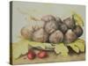 Figs-Giovanna Garzoni-Stretched Canvas