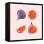 Figs-Stacy Hsu-Framed Stretched Canvas