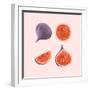 Figs-Stacy Hsu-Framed Art Print