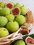 Just the Print