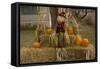 Figure and Pumpkins, Set Up to Commemorate Hallowe'en-null-Framed Stretched Canvas