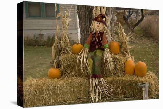 Figure and Pumpkins, Set Up to Commemorate Hallowe'en-null-Stretched Canvas