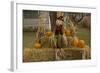 Figure and Pumpkins, Set Up to Commemorate Hallowe'en-null-Framed Photographic Print