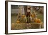 Figure and Pumpkins, Set Up to Commemorate Hallowe'en-null-Framed Photographic Print