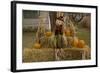 Figure and Pumpkins, Set Up to Commemorate Hallowe'en-null-Framed Photographic Print