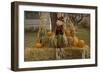 Figure and Pumpkins, Set Up to Commemorate Hallowe'en-null-Framed Photographic Print