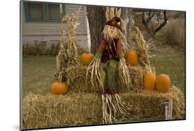 Figure and Pumpkins, Set Up to Commemorate Hallowe'en-null-Mounted Photographic Print