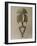 Figure de reliquaire-null-Framed Giclee Print