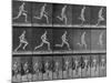 Figure in Different Running Positions-Eadweard Muybridge-Mounted Photographic Print