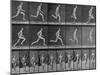 Figure in Different Running Positions-Eadweard Muybridge-Mounted Photographic Print