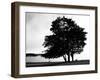 Figure in the Distance in Landscape-Sharon Wish-Framed Photographic Print