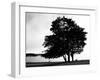 Figure in the Distance in Landscape-Sharon Wish-Framed Photographic Print