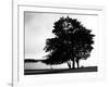 Figure in the Distance in Landscape-Sharon Wish-Framed Photographic Print