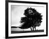 Figure in the Distance in Landscape-Sharon Wish-Framed Photographic Print