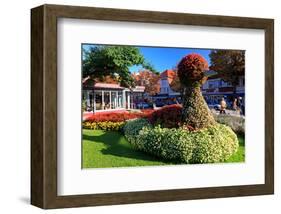 Figure made of Flowers on Bummelallee Alley, Bad Harzburg, Germany-null-Framed Premium Giclee Print