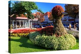 Figure made of Flowers on Bummelallee Alley, Bad Harzburg, Germany-null-Stretched Canvas