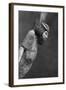 Figure of an Asiatic Man, C1350 BC-null-Framed Giclee Print