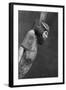 Figure of an Asiatic Man, C1350 BC-null-Framed Giclee Print