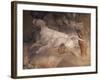 Figure of Dog, Detail from Fresco-Girolamo Romanino-Framed Giclee Print