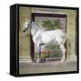 Figure of Horse, Detail-Rinaldo Mantovano-Framed Stretched Canvas