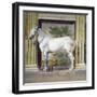 Figure of Horse, Detail-Rinaldo Mantovano-Framed Giclee Print