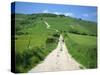 Figure on a Pathway Leading Up a Hill in the South Downs, Near Lewes, Sussex, England, UK-Pate Jenny-Stretched Canvas