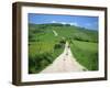 Figure on a Pathway Leading Up a Hill in the South Downs, Near Lewes, Sussex, England, UK-Pate Jenny-Framed Photographic Print