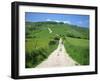 Figure on a Pathway Leading Up a Hill in the South Downs, Near Lewes, Sussex, England, UK-Pate Jenny-Framed Photographic Print