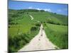 Figure on a Pathway Leading Up a Hill in the South Downs, Near Lewes, Sussex, England, UK-Pate Jenny-Mounted Photographic Print