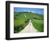 Figure on a Pathway Leading Up a Hill in the South Downs, Near Lewes, Sussex, England, UK-Pate Jenny-Framed Photographic Print