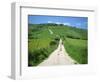Figure on a Pathway Leading Up a Hill in the South Downs, Near Lewes, Sussex, England, UK-Pate Jenny-Framed Photographic Print