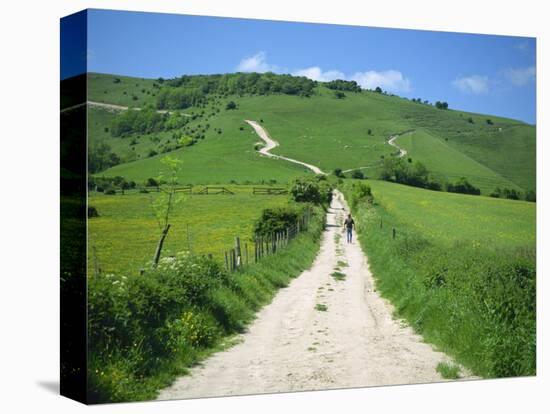 Figure on a Pathway Leading Up a Hill in the South Downs, Near Lewes, Sussex, England, UK-Pate Jenny-Stretched Canvas