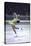 Figure Skater Peggy Fleming Competing in the Olympics-Art Rickerby-Stretched Canvas