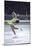 Figure Skater Peggy Fleming Competing in the Olympics-Art Rickerby-Mounted Premium Photographic Print