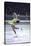 Figure Skater Peggy Fleming Competing in the Olympics-Art Rickerby-Stretched Canvas