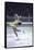 Figure Skater Peggy Fleming Competing in the Olympics-Art Rickerby-Framed Stretched Canvas