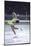 Figure Skater Peggy Fleming Competing in the Olympics-Art Rickerby-Mounted Photographic Print