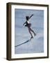 Figure Skater-null-Framed Photographic Print